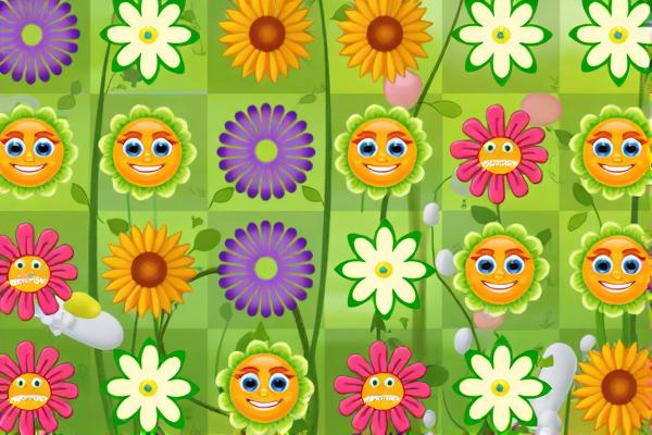 美丽花儿对对碰