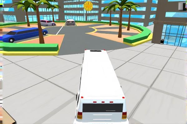 豪华轿车驾驶员