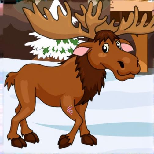 救援受伤的麋鹿