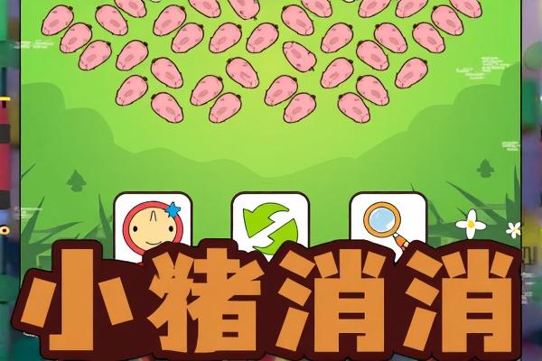 小猪消消