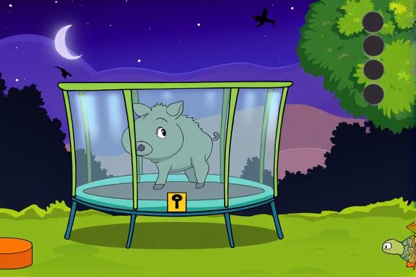 困在笼里的野猪