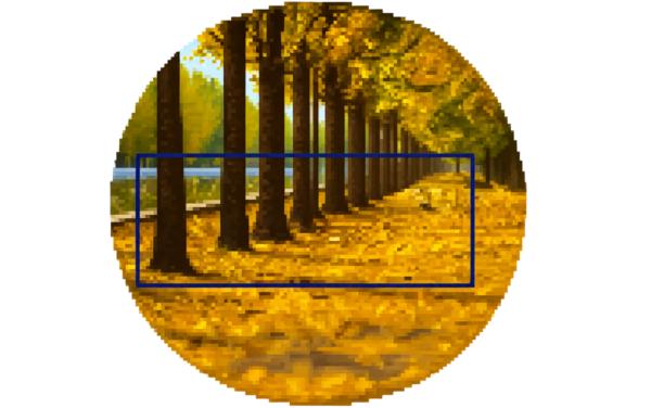 回家快乐66666666666