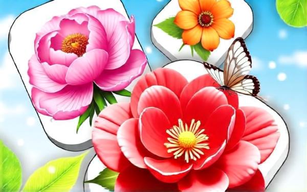 三张花花花游戏