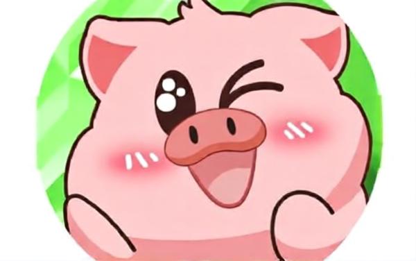 小胖猪快跑
