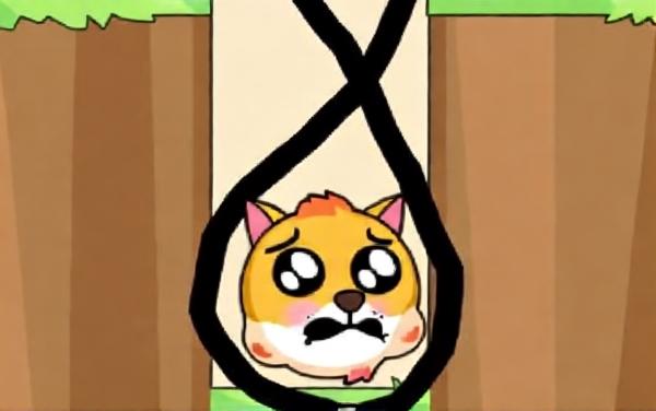救救狗狗5