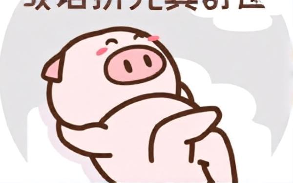 成语拼完真舒服