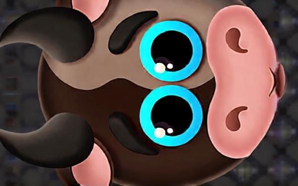 贪吃蛇之蛇王作战