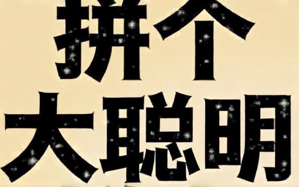 拼个大聪明