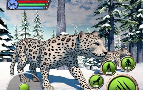 猎豹模拟游戏
