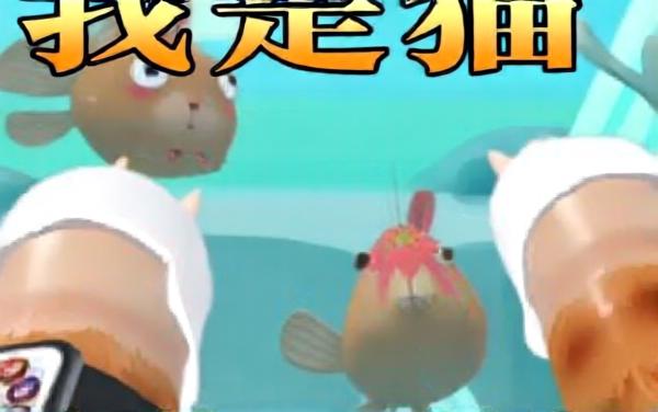 我是一只猫大冒险