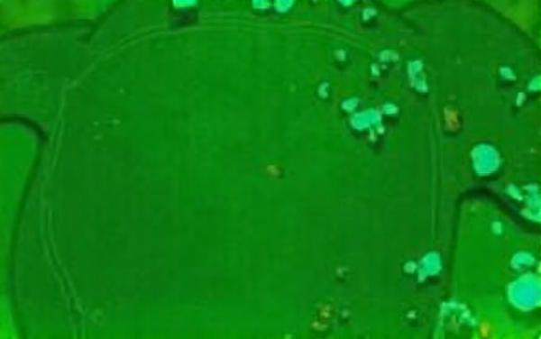 土豆打僵尸经典杂交