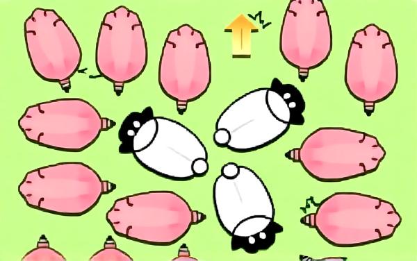 救了个羊