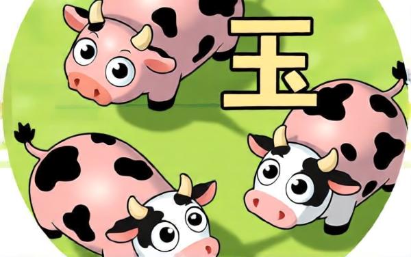 一起找喵