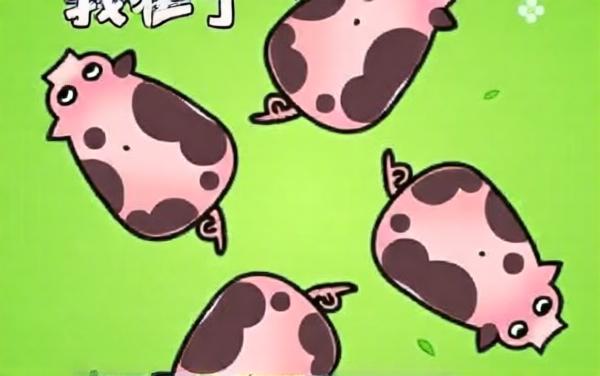 挪猪猪4
