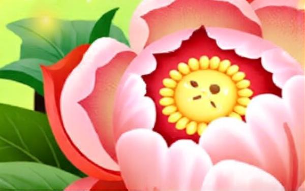 花开富贵玩成语