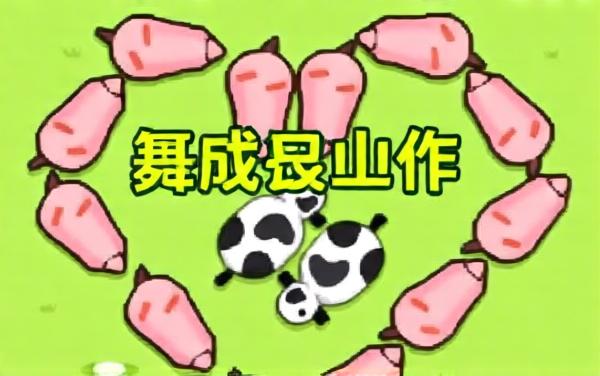 堵猪猪