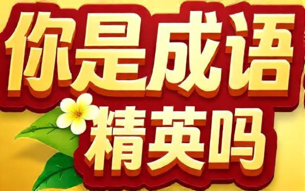 你是成语精英吗
