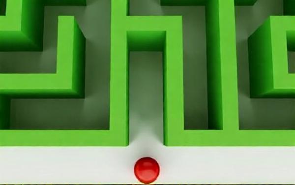 动物营救大行动