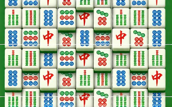 米莎的猫咪乐园