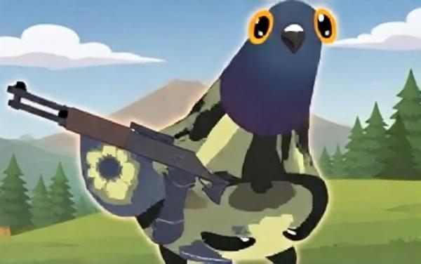 疯狂的鸽子乐园