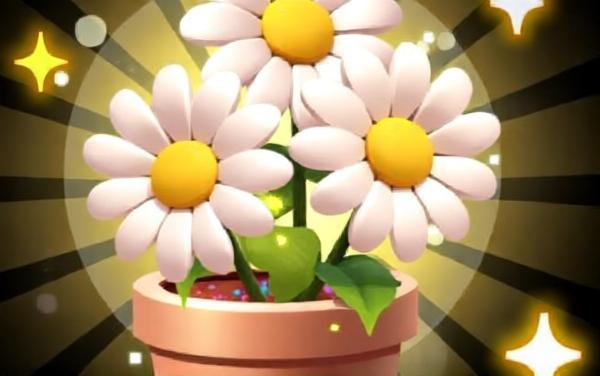 花花朵朵消