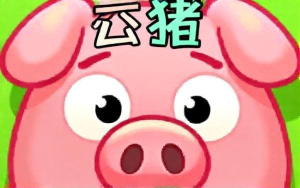 专治大聪明