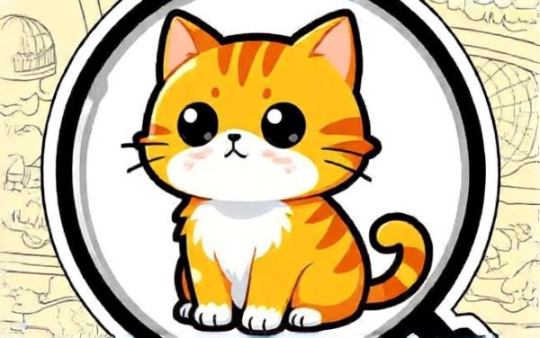 找个猫猫