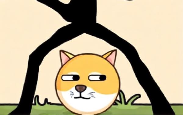 保护好小狗12