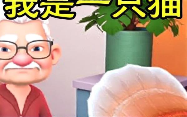 我是一只小猫咪