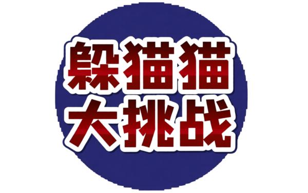 躲猫猫大挑战