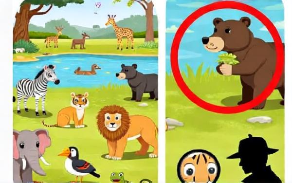 眼力大挑战之找茬