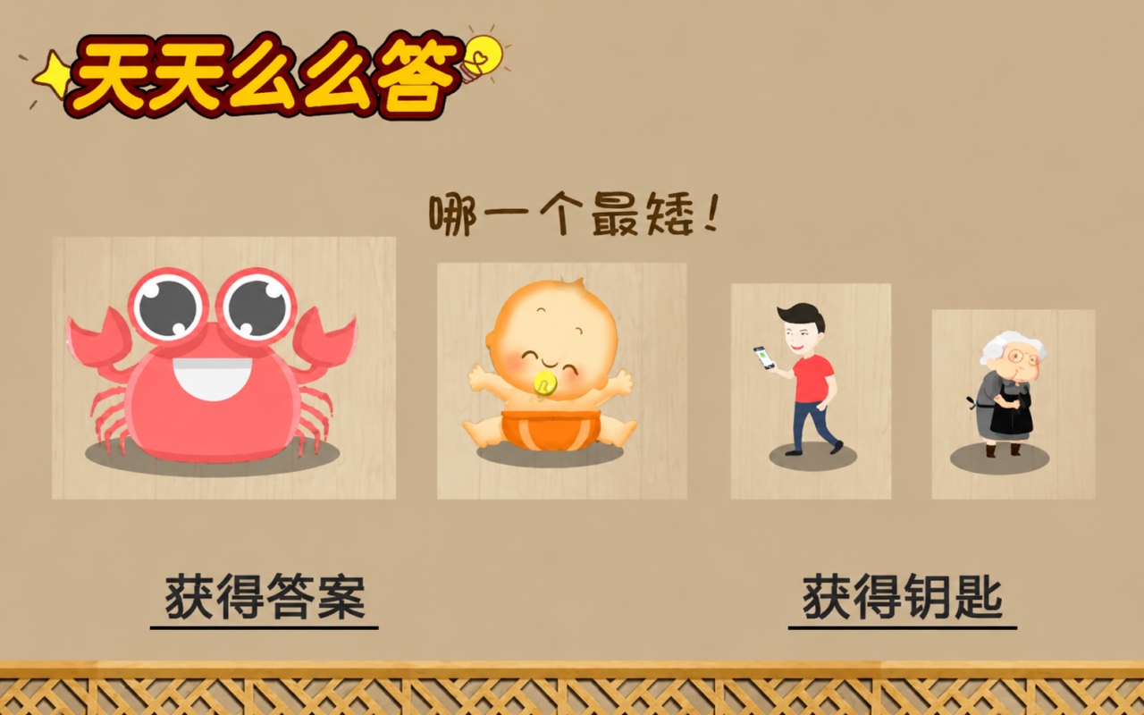 脑洞回路