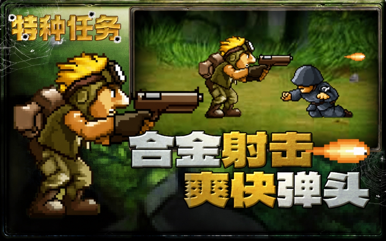 特种任务