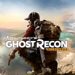 幽灵行动：荒野2