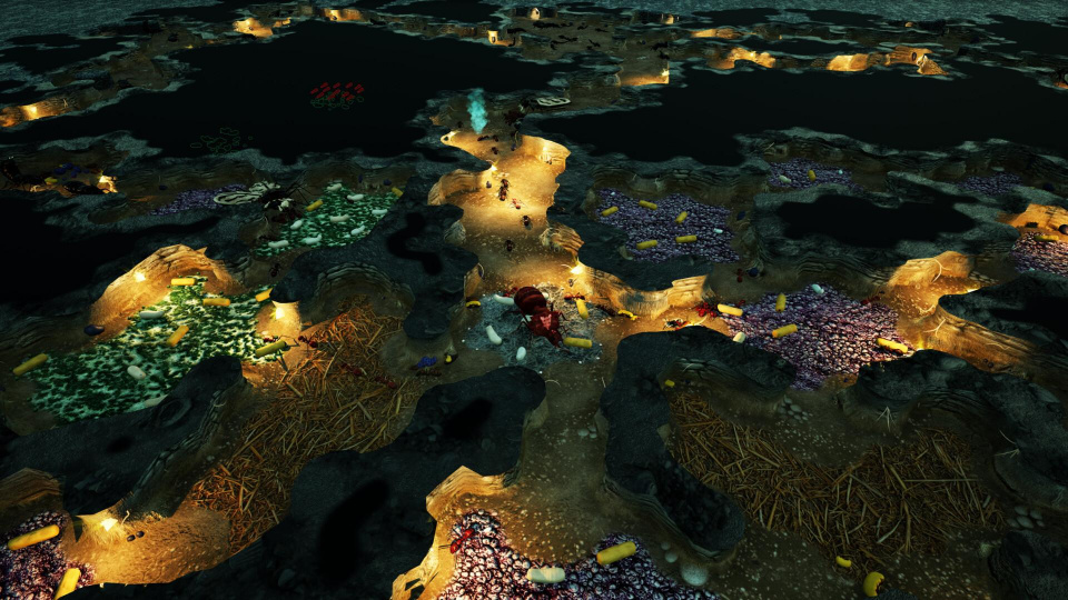 《地下蚁国》游戏截图5 《地下蚁国》游戏截图5