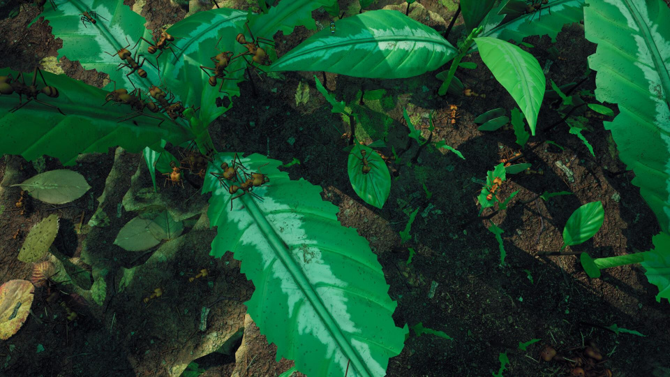 《地下蚁国》游戏截图1 《地下蚁国》游戏截图1