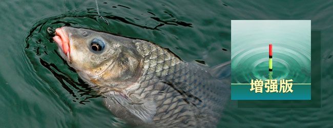 最强钓鱼人增强版