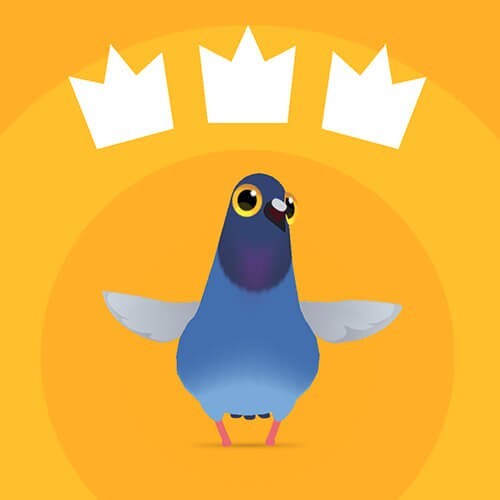 疯狂的鸽子全解锁