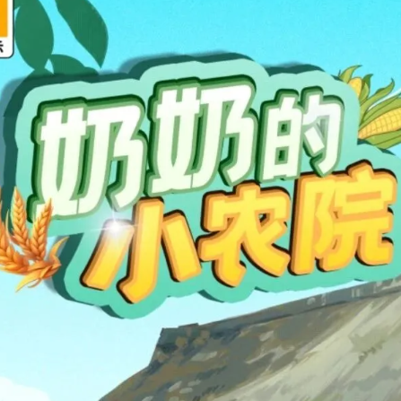 奶奶的小小农院