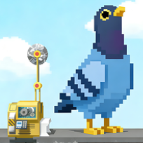 疯狂的鸽子拆墙