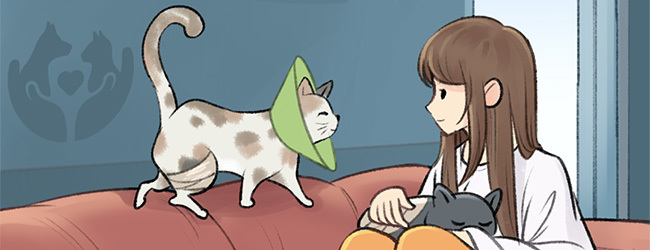 猫猫狗狗一起玩