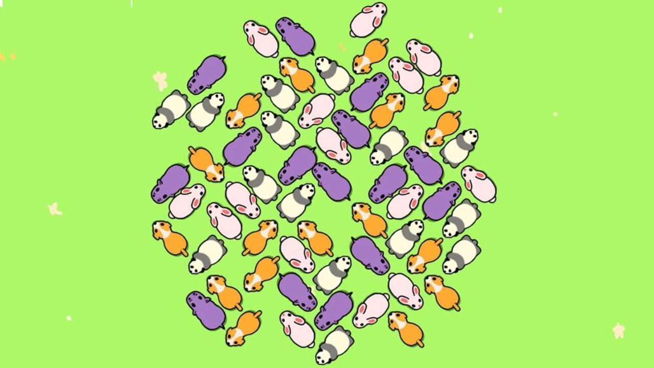 《挪小猪》游戏截图6