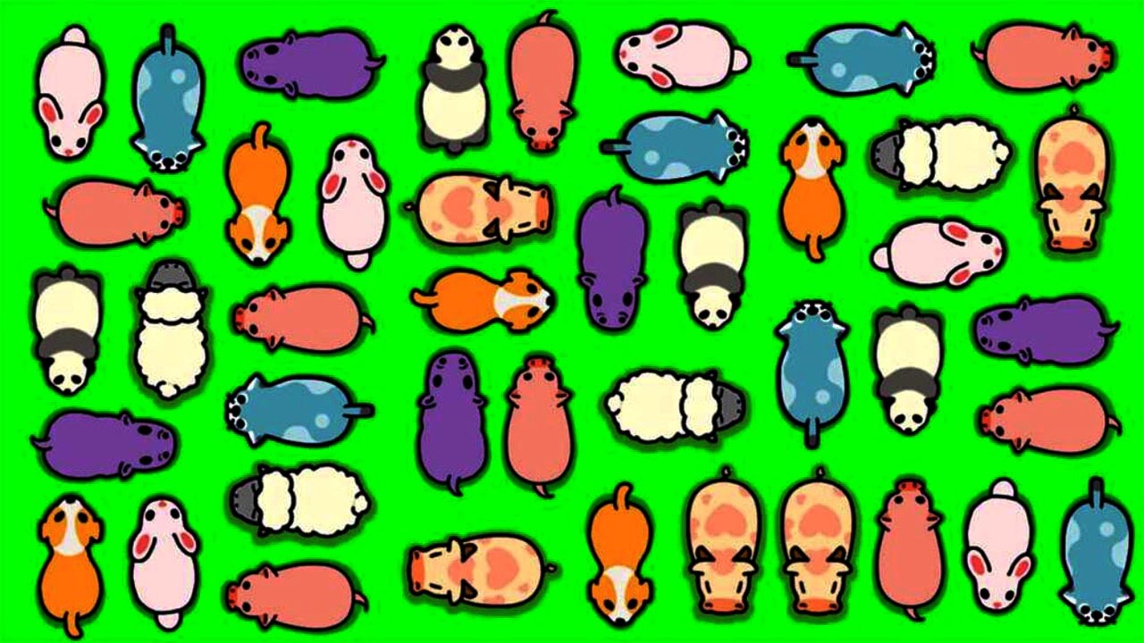 《乌龟对对碰碰》游戏截图3