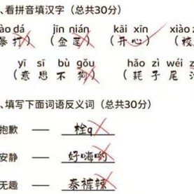 学霸改作业游戏