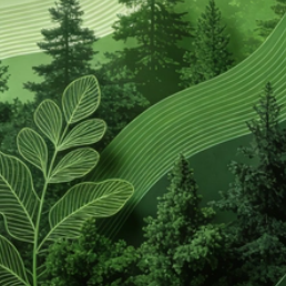 你肯定能过这一关