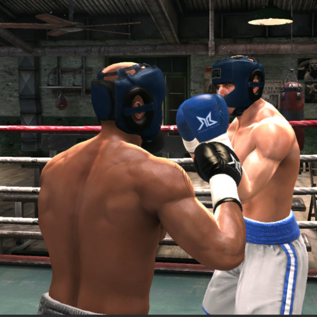 真实拳王双人格斗