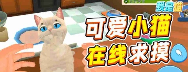 我是猫模拟