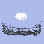 鸟蛋回家大冒险