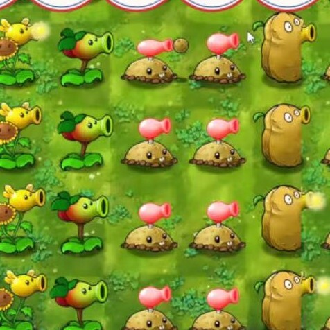 植物花园大冒险