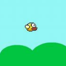 跃动的笨鸟先飞